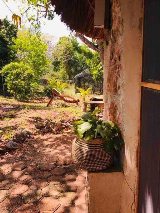 Encantadora Villa Maya Tradicional En Rancho Agroecologico Tzucaceb Exterior foto
